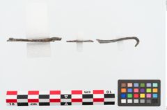 Foto von Eisengürtelhaken (NHMW-PRAE-024029)